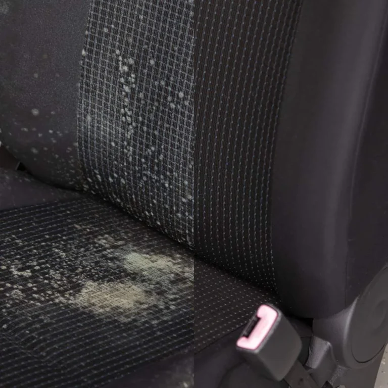 Produits et accessoires Cartec pour le nettoyage et l&rsquo;entretien de l&rsquo;habitacle
