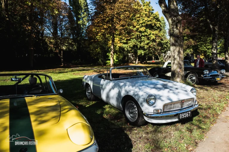 Voitures exposées au Dream Car Festival au Luxembourg