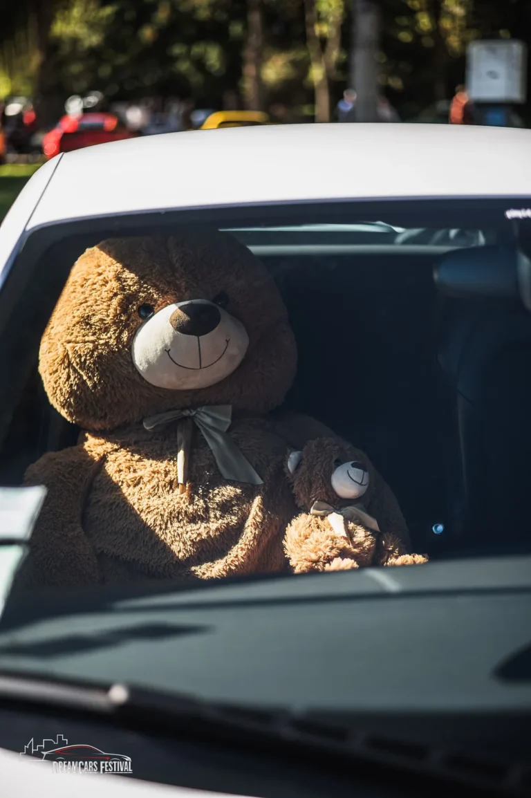 Ourson en peluche derrière le pare-brise d’une voiture au Dream Car Festival au Luxembourg