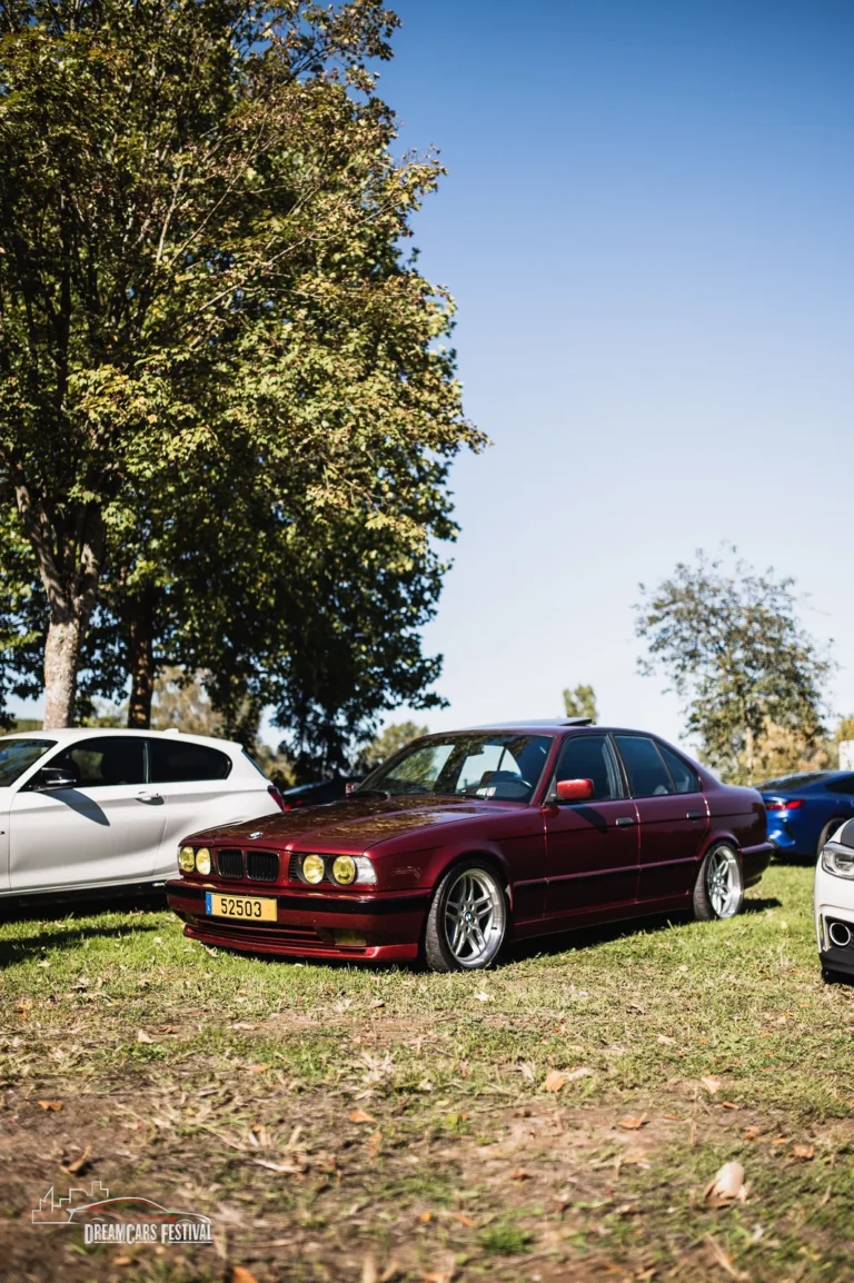 Voitures exposées au Dream Car Festival au Luxembourg