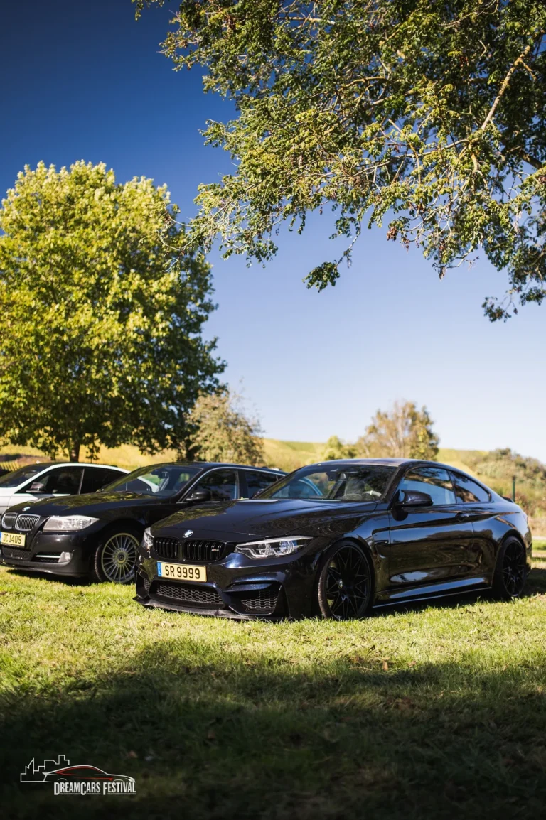 Voitures exposées au Dream Car Festival au Luxembourg