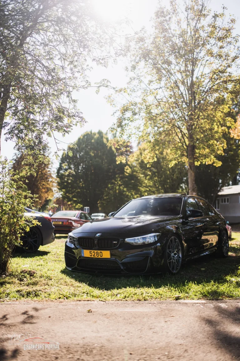 Voitures exposées au Dream Car Festival au Luxembourg