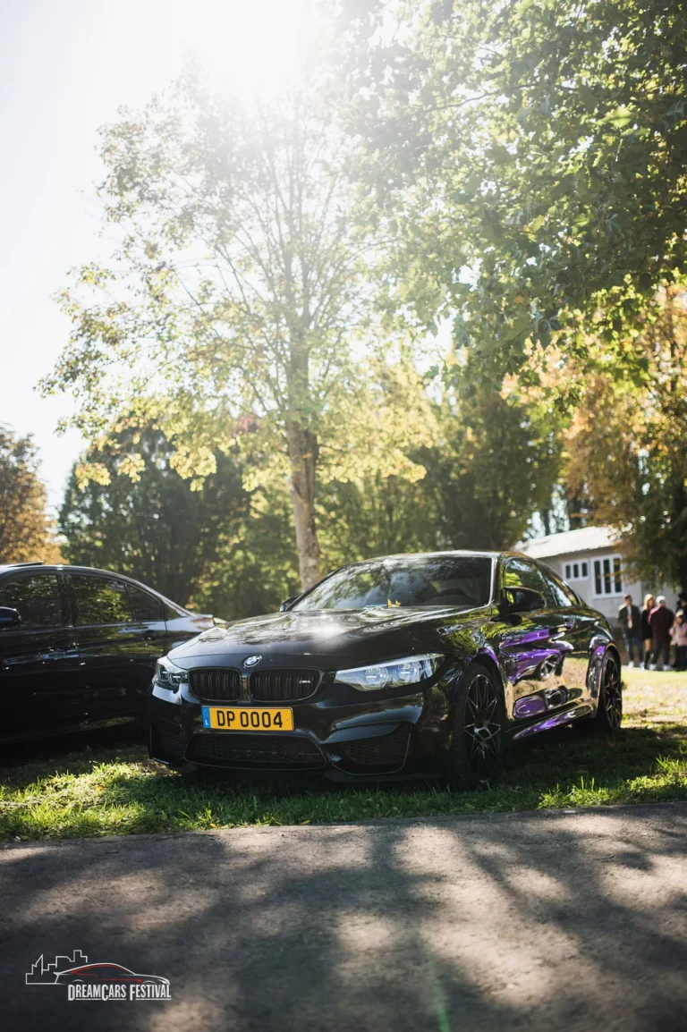 Voitures exposées au Dream Car Festival au Luxembourg