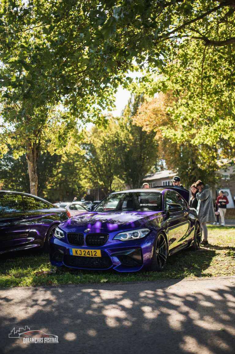 Voitures exposées au Dream Car Festival au Luxembourg