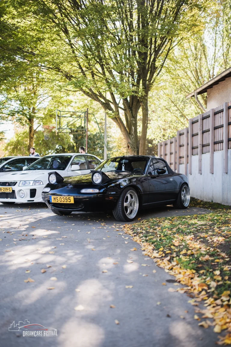 Voitures exposées au Dream Car Festival au Luxembourg