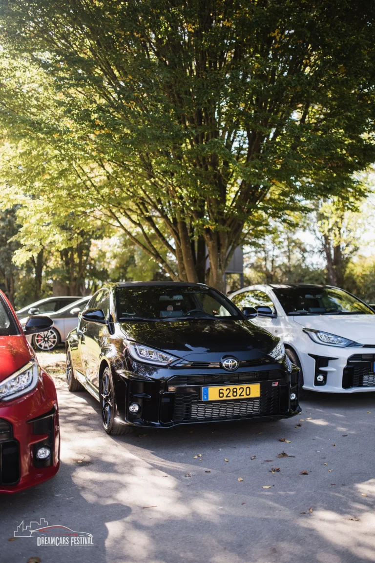 Voitures exposées au Dream Car Festival au Luxembourg