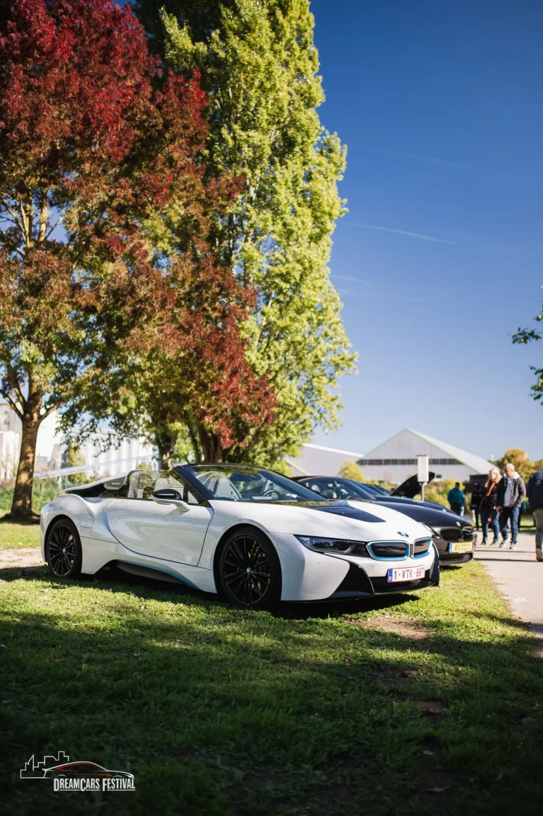 Voitures exposées au Dream Car Festival au Luxembourg