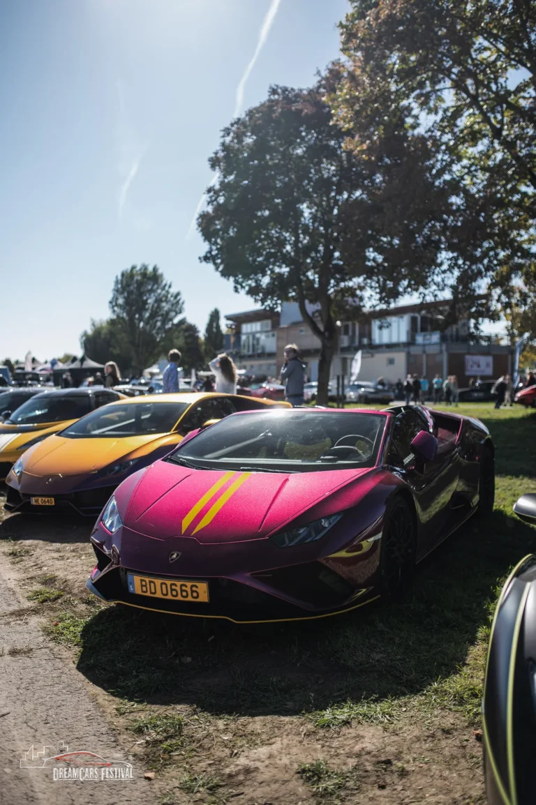 Voitures exposées au Dream Car Festival au Luxembourg