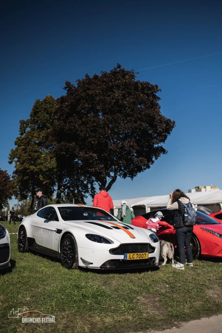 Voitures exposées au Dream Car Festival au Luxembourg