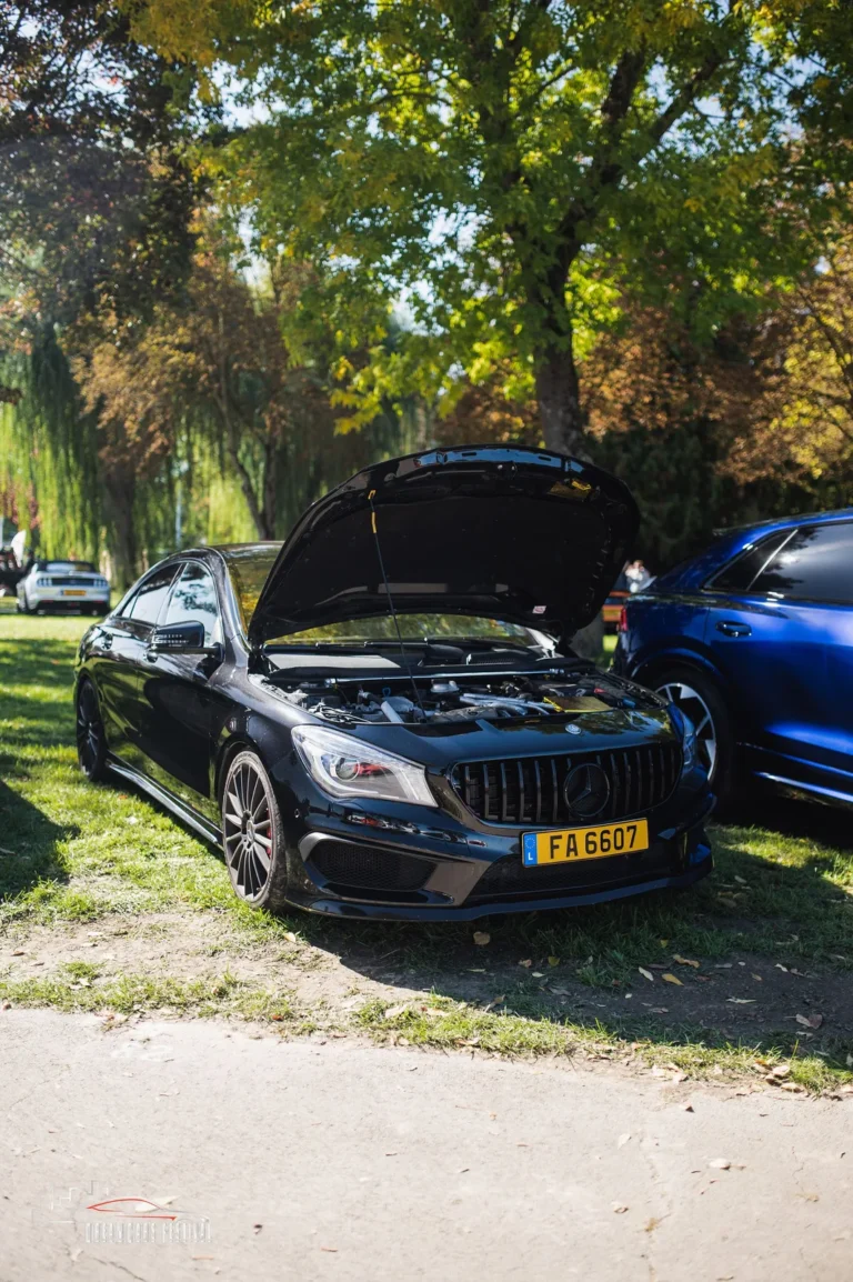 Voitures exposées au Dream Car Festival au Luxembourg