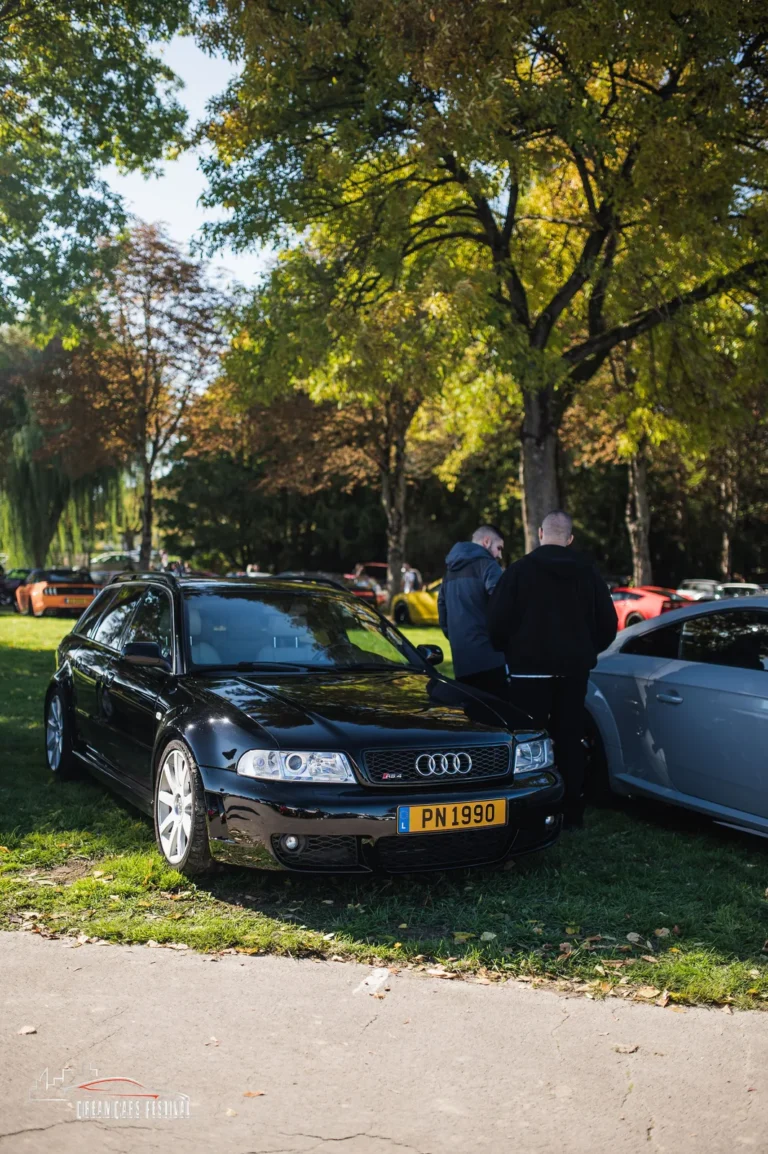 Voitures exposées au Dream Car Festival au Luxembourg