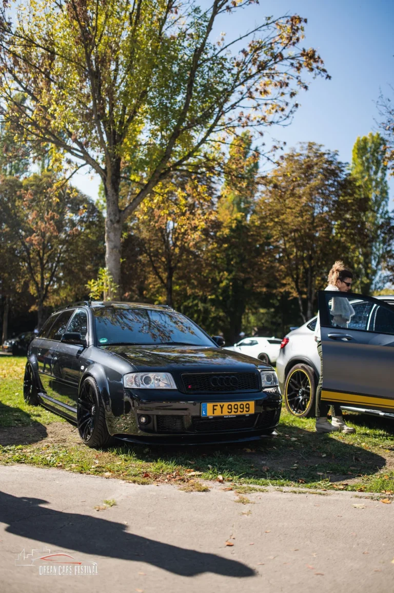 Voitures exposées au Dream Car Festival au Luxembourg