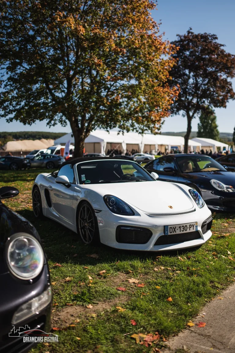 Voitures exposées au Dream Car Festival au Luxembourg