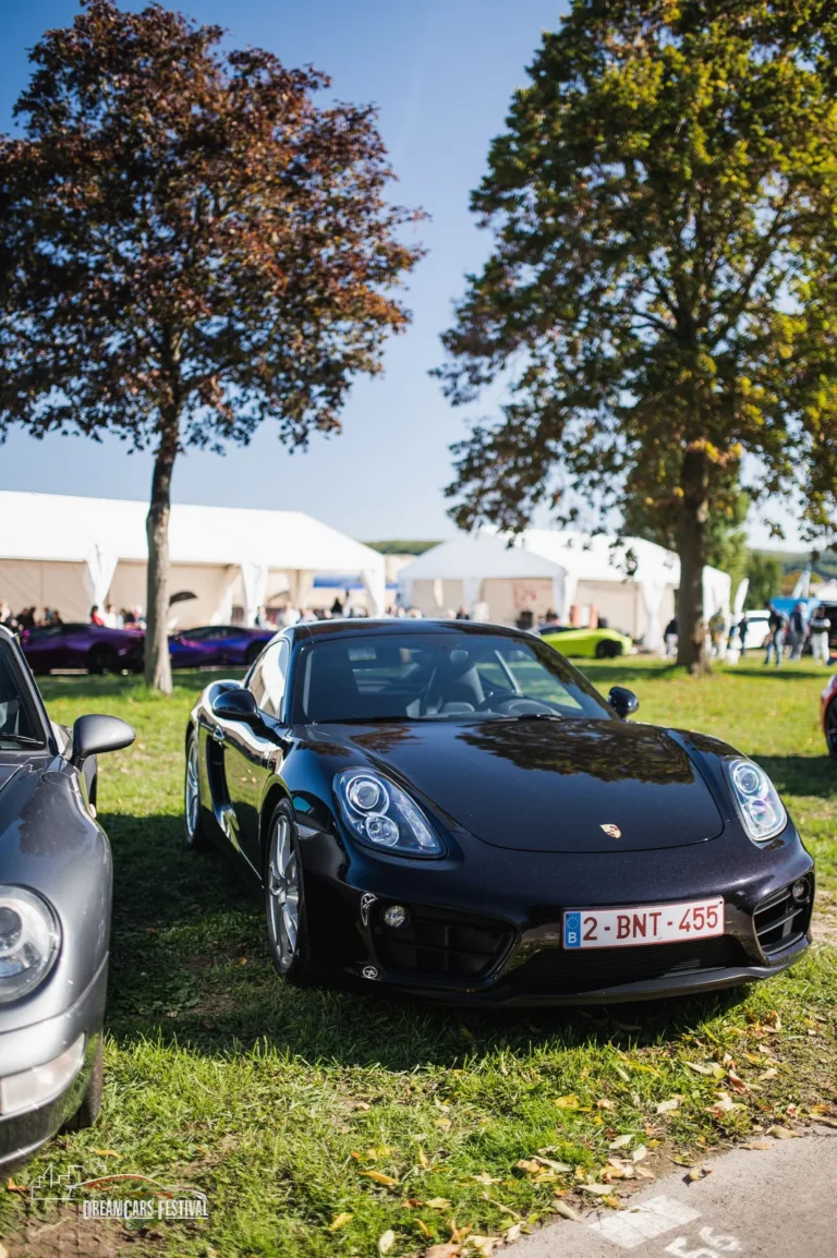 Voitures exposées au Dream Car Festival au Luxembourg