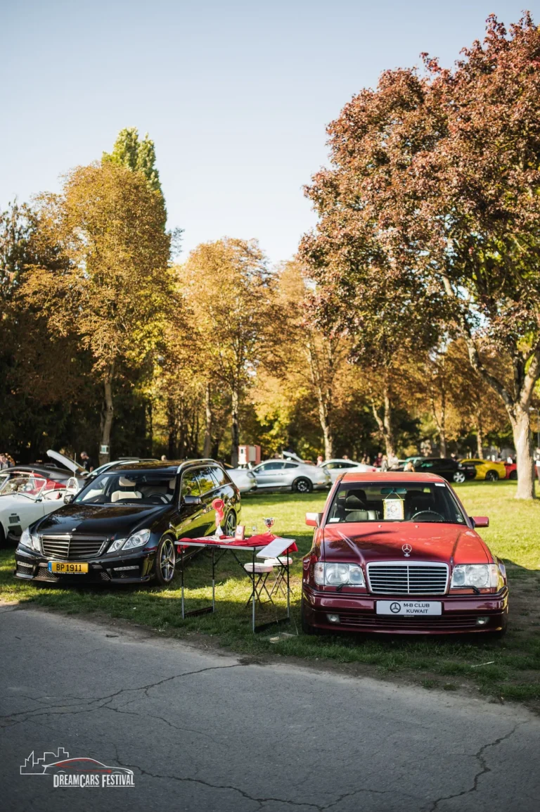 Voitures exposées au Dream Car Festival au Luxembourg