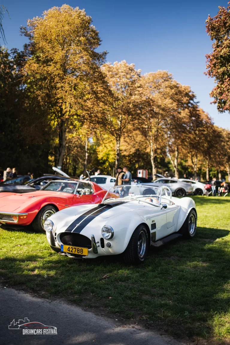 Voitures exposées au Dream Car Festival au Luxembourg