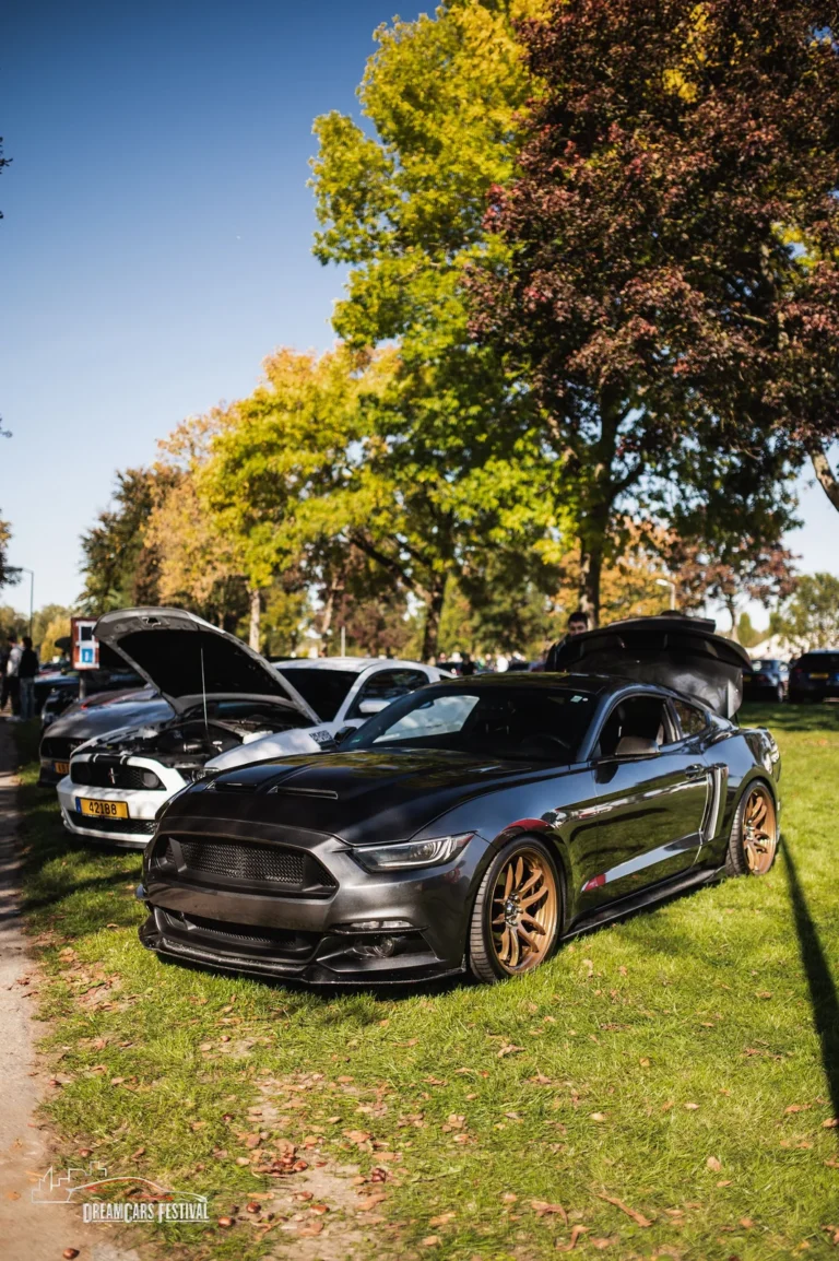 Voitures exposées au Dream Car Festival au Luxembourg