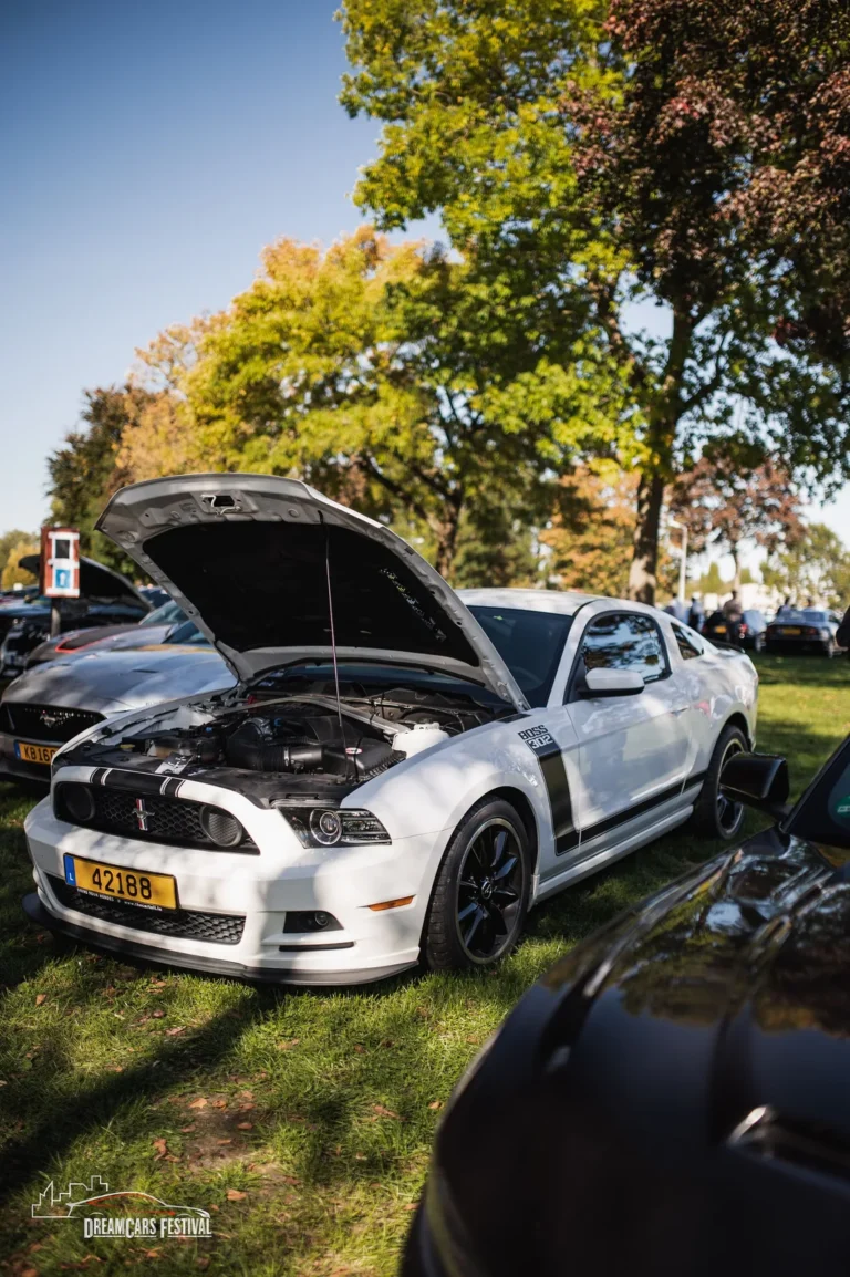 Voitures exposées au Dream Car Festival au Luxembourg