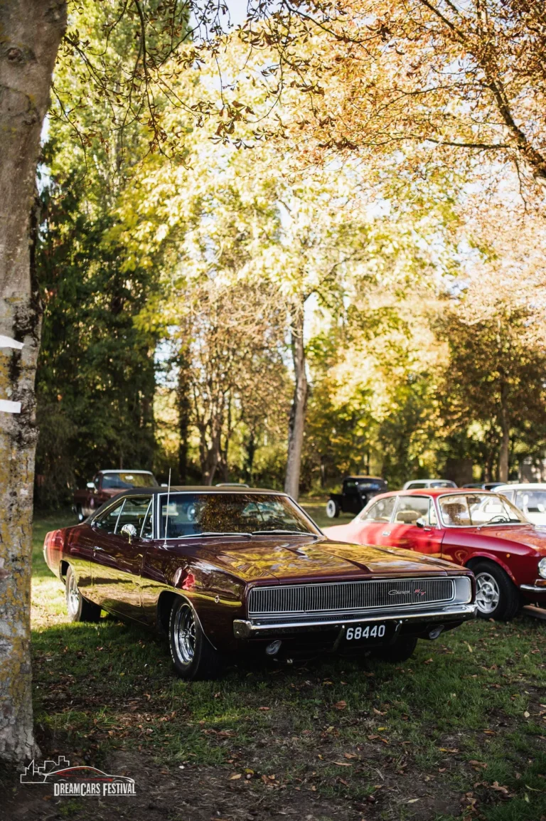 Voitures exposées au Dream Car Festival au Luxembourg
