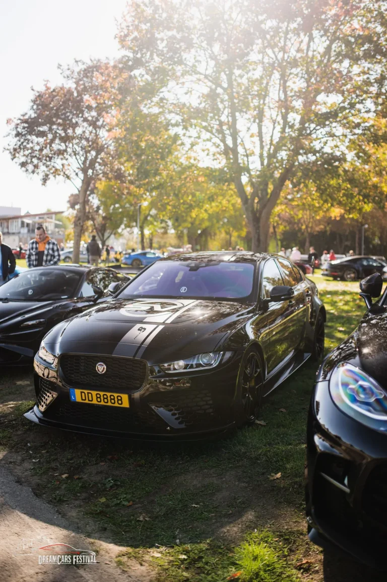 Voitures exposées au Dream Car Festival au Luxembourg