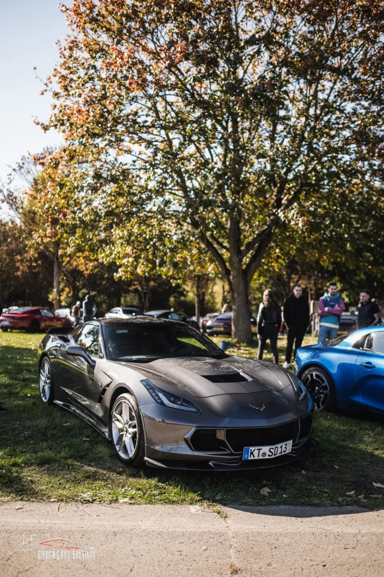 Voitures exposées au Dream Car Festival au Luxembourg