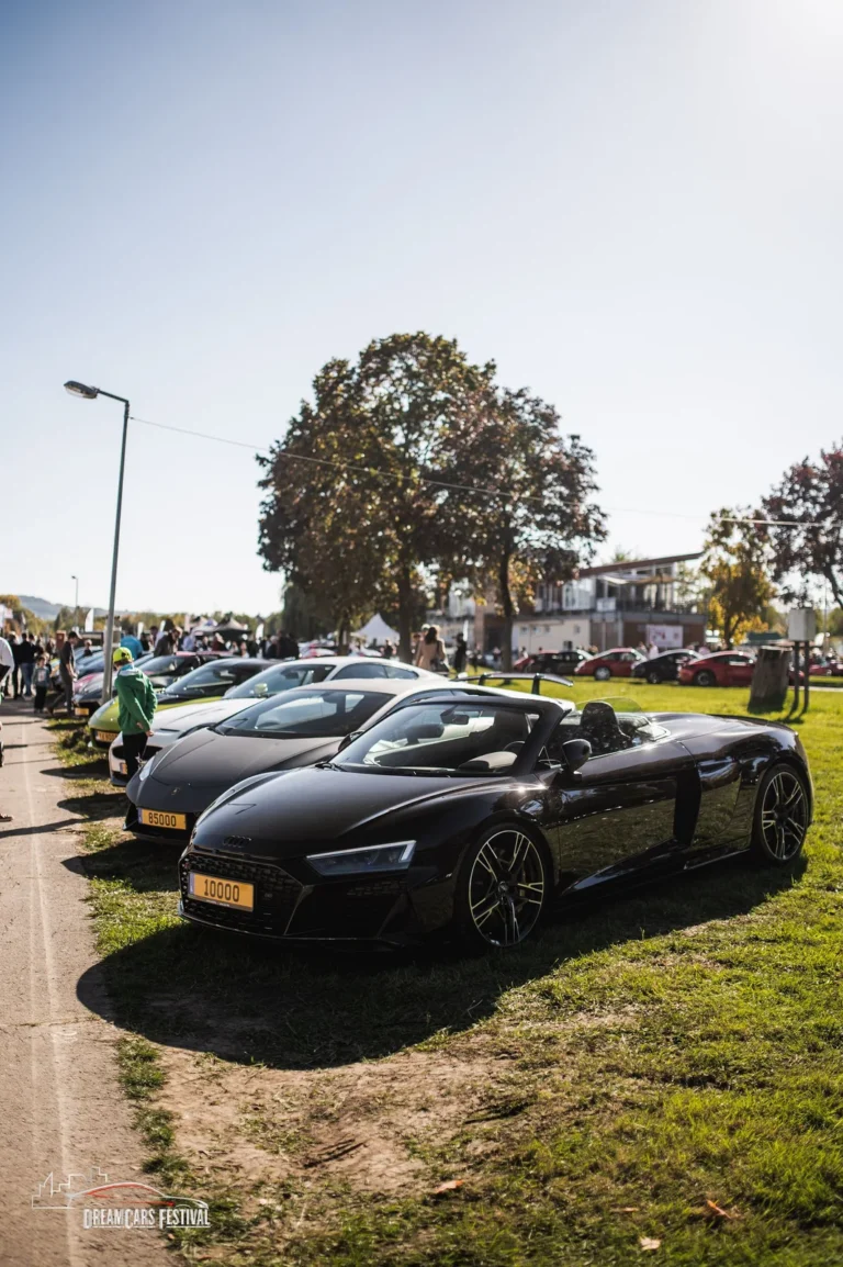 Voitures exposées au Dream Car Festival au Luxembourg