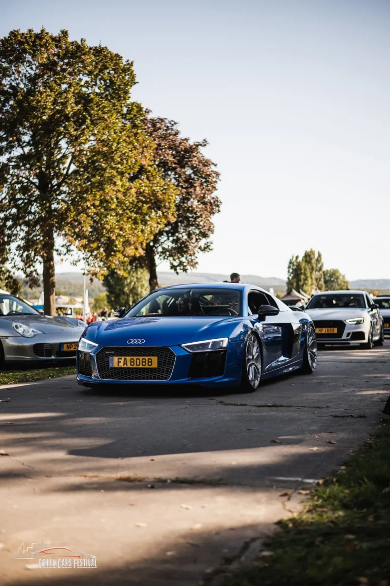 Voitures exposées au Dream Car Festival au Luxembourg