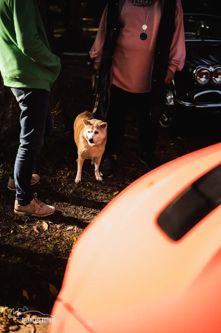 Visiteurs près d’une voiture de sport au Dream Car Festival au Luxembourg
