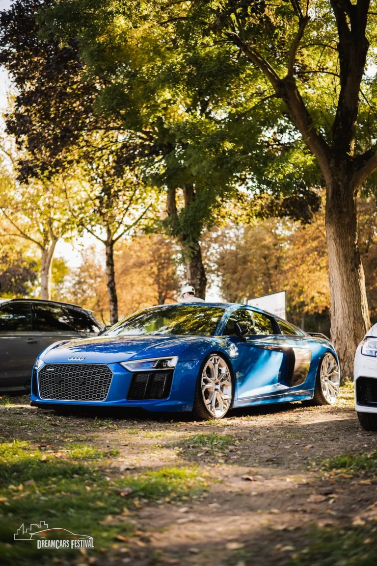 Voitures exposées au Dream Car Festival au Luxembourg