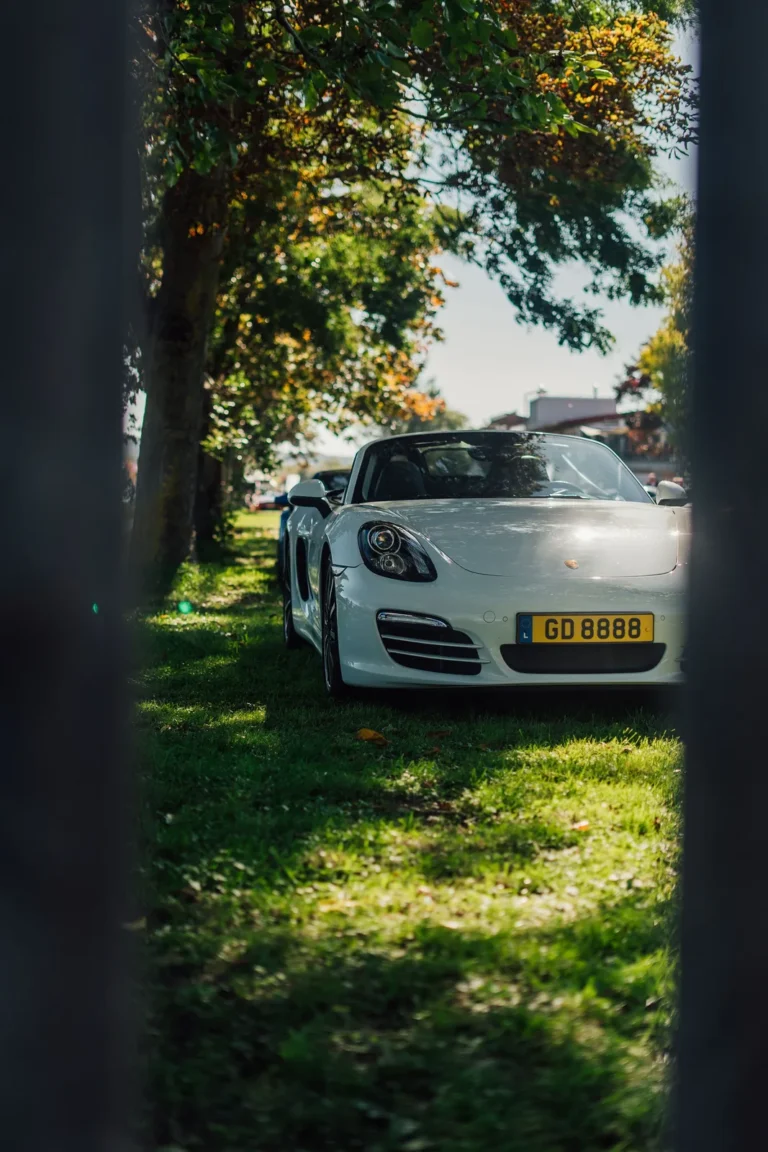 Voitures exposées au Dream Car Festival au Luxembourg