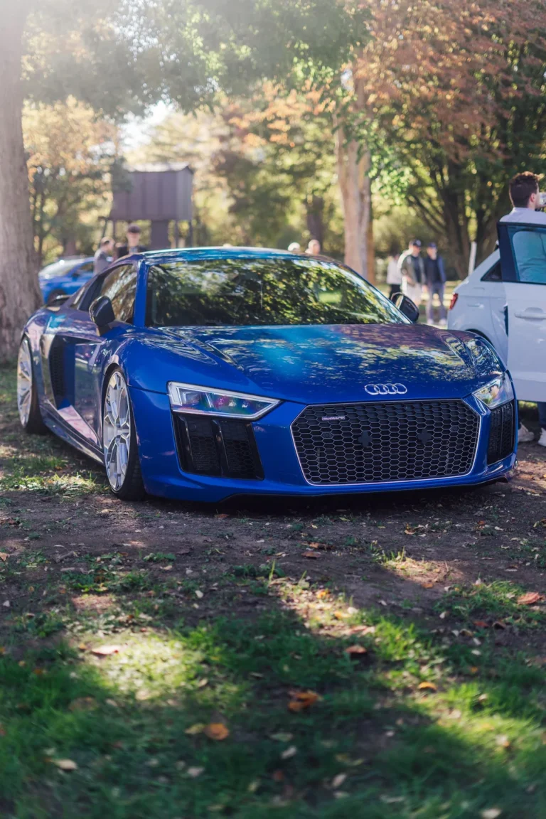 Voitures exposées au Dream Car Festival au Luxembourg