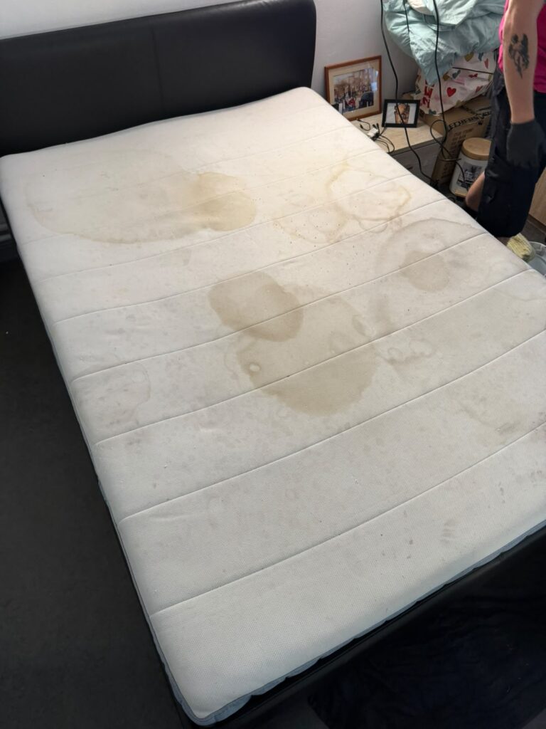 Matelas avant nettoyage Textile Cleaner